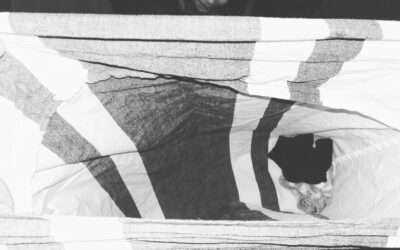 Codex huishoudicus. Over de wetmatigheden des wasgoeds