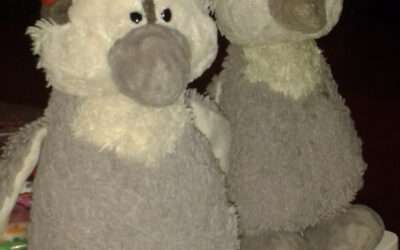 Over Plop en de Sint