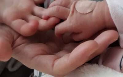 Brief aan een grote zus